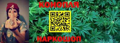 гидра Малоярославец