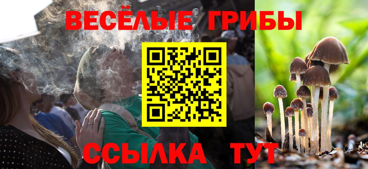 Галлюциногенные грибы мухоморы Гудермес